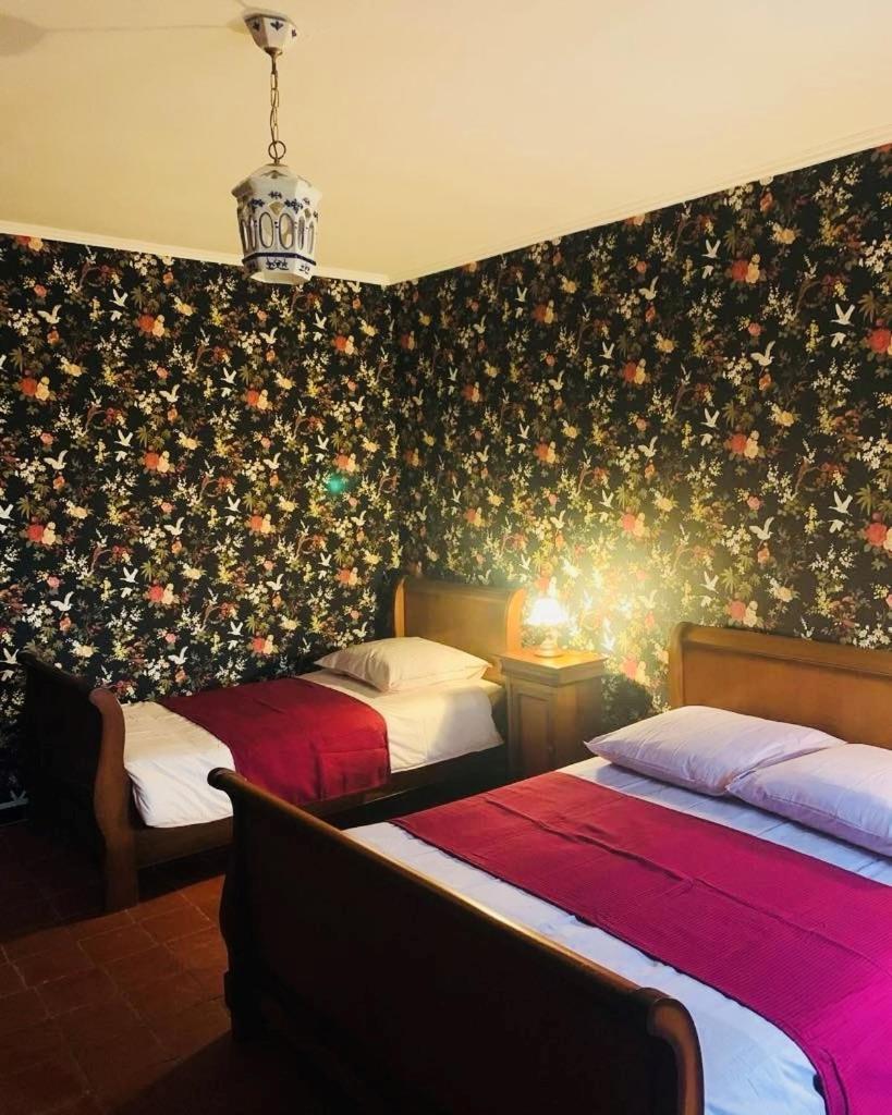La Babayaga Bed & Breakfast Capestang Exterior photo